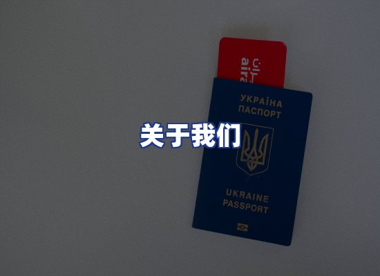 专业团队