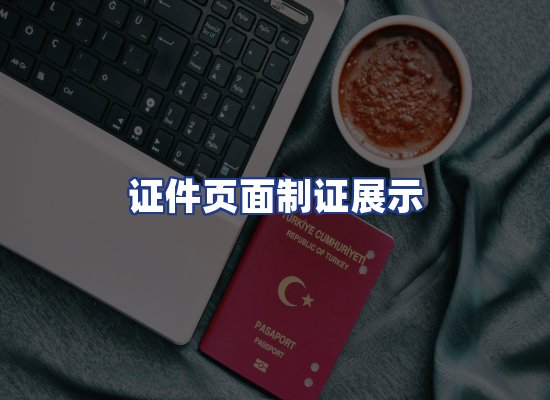 证件页面制证展示